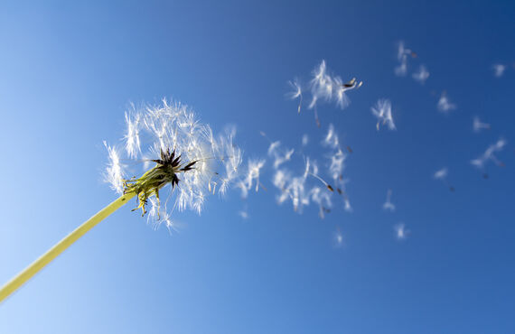  株式会社ブリングアップトークは人材育成のセミナーや研修を行っています