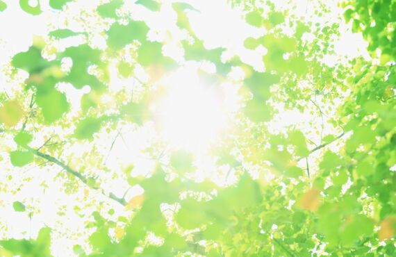 働き方の大変革「リモートワーク」の闇を斬る！「すごい面談」を利用して生産効率を維持しよう